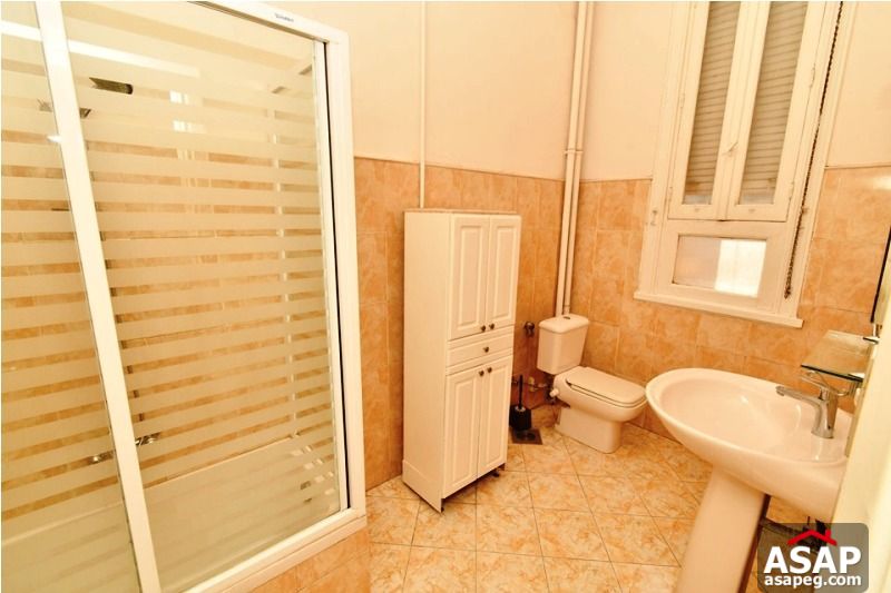 Apartment for Rent in Zamalek Apartment for Rent in Zamalek