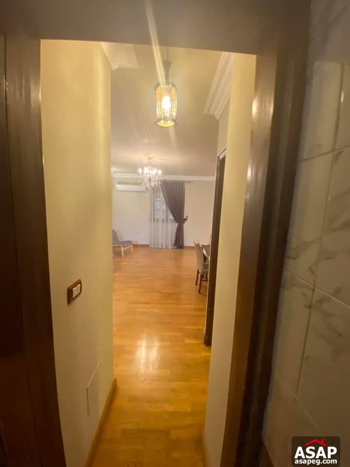 Apartment for Rent in Zamalek Apartment for Rent in Zamalek