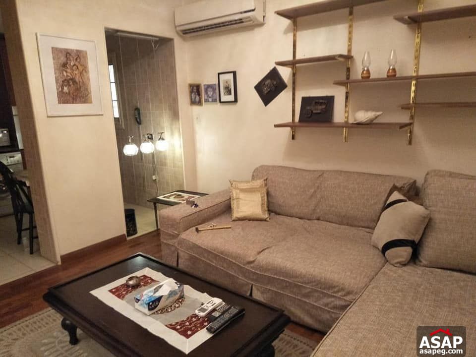 Apartment for Rent in Zamalek - Cairo Apartment for Rent in Zamalek - Cairo