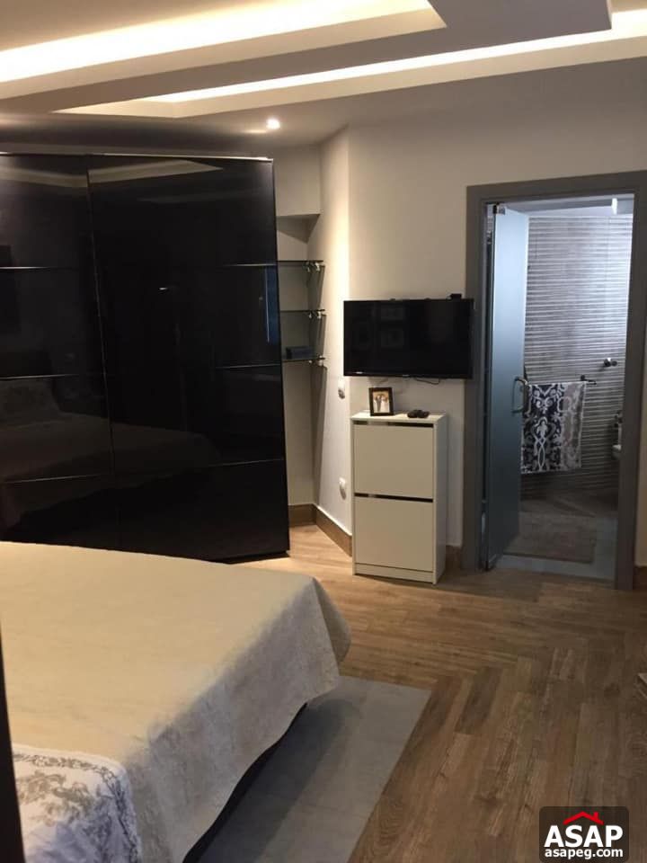 Furnished Flat for Rent in Zamalek Furnished Flat for Rent in Zamalek