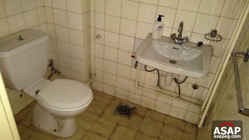 Furnished Apartment with Nice Balcony in Zamalek