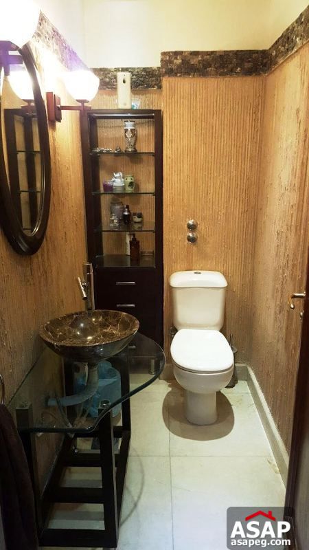 Furnished Villa with Big Garden for Rent in New Cairo Furnished Villa with Big Garden for Rent in New Cairo