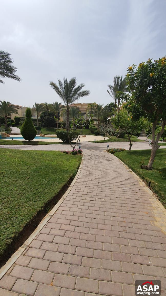 Stand Alone with Lake View for Rent in El Patio Compound Stand Alone with Lake View for Rent in El Patio Compound