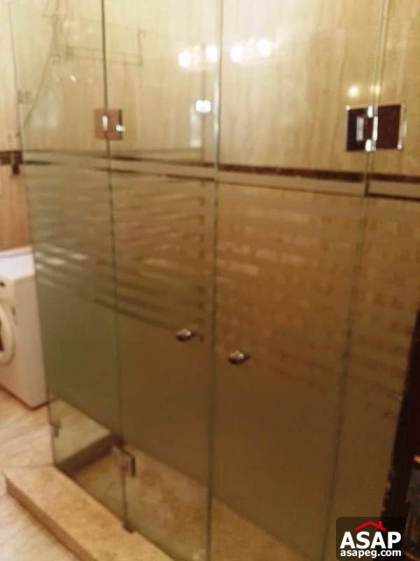 Apartment with Big Roof for Rent in Zamalek Apartment with Big Roof for Rent in Zamalek