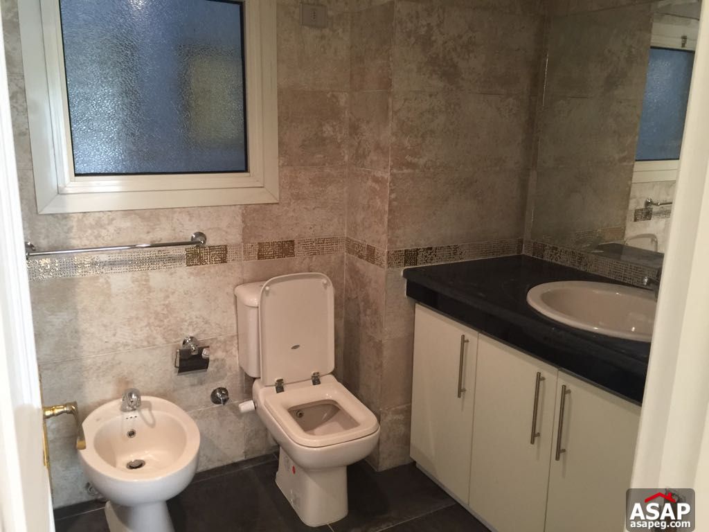 Apartment for Rent in Zamalek Apartment for Rent in Zamalek