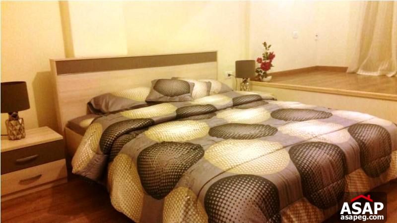 Furnished Apartment with Big Terrace for Rent in Zamalek Furnished Apartment with Big Terrace for Rent in Zamalek