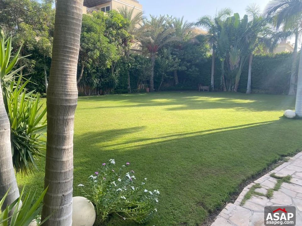 Villa for Rent in Belle Ville Compound