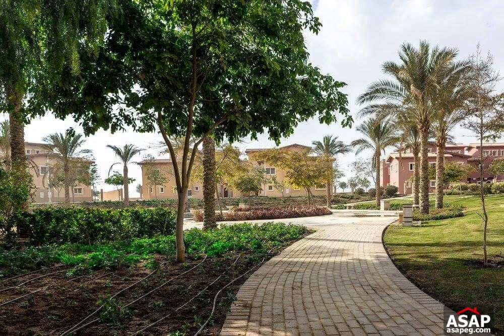 Stand Alone Villa for Sale in Hyde Park Stand Alone Villa for Sale in Hyde Park