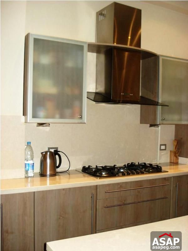 Furnished Apartment for Rent in Zamalek