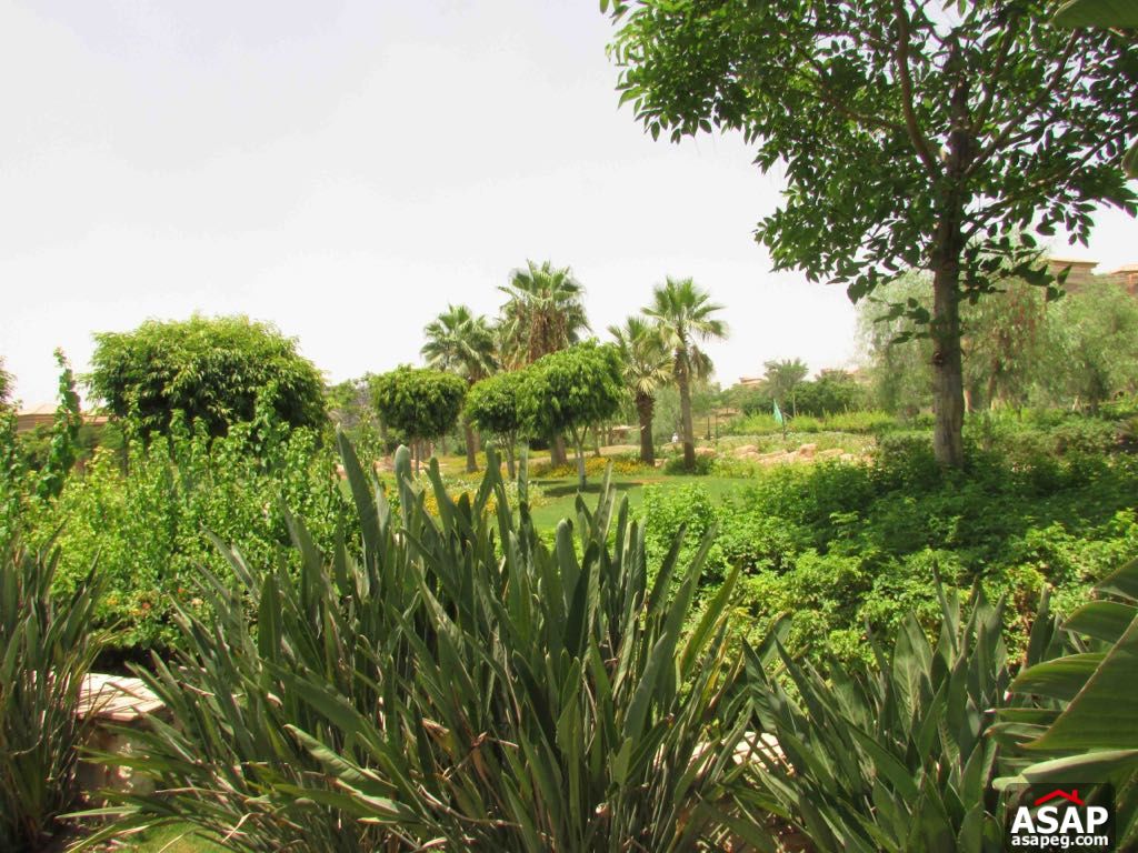 Stand Alone with Pool for Rent in Lake View Stand Alone with Pool for Rent in Lake View