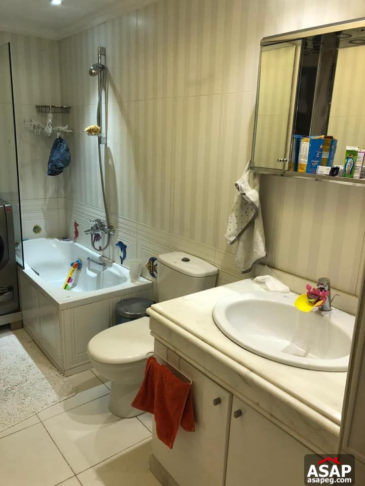 Apartment for Rent in Zamalek Apartment for Rent in Zamalek