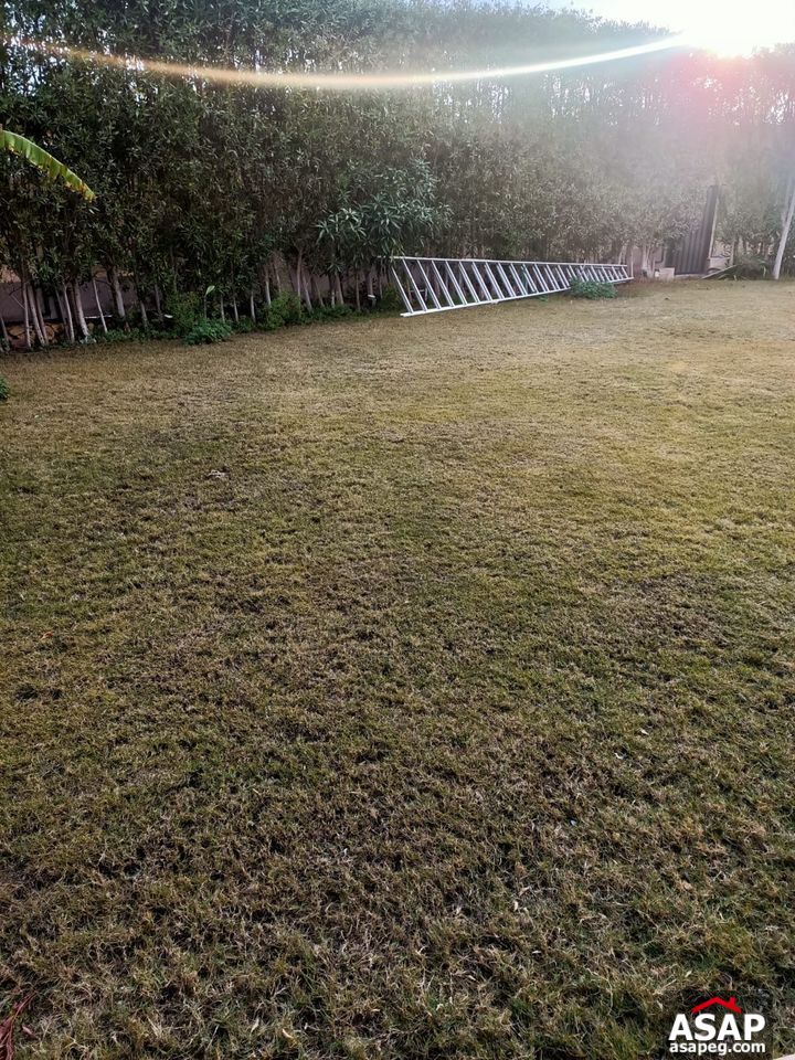 Town House for Rent in Katameya Dunes Town House for Rent in Katameya Dunes