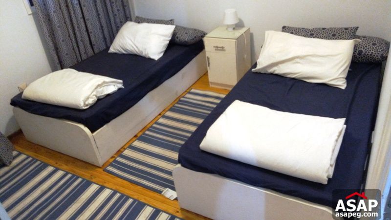 Apartment for Rent in Zamalek Apartment for Rent in Zamalek