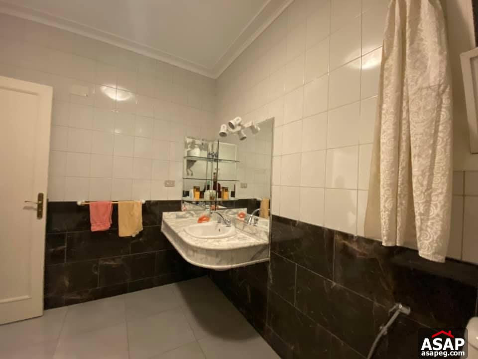 Apartment for Rent in Zamalek Apartment for Rent in Zamalek