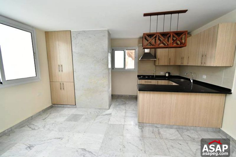 Apartment for Rent in Zamalek Apartment for Rent in Zamalek