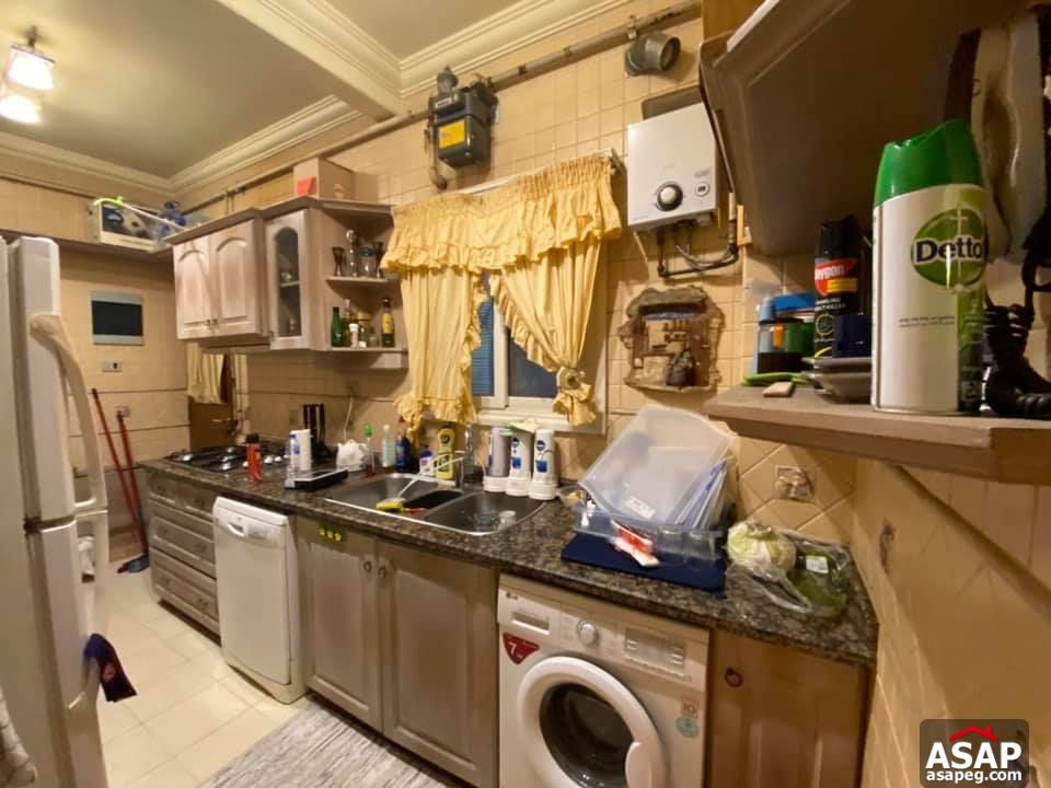 Apartment for Rent in Zamalek Apartment for Rent in Zamalek