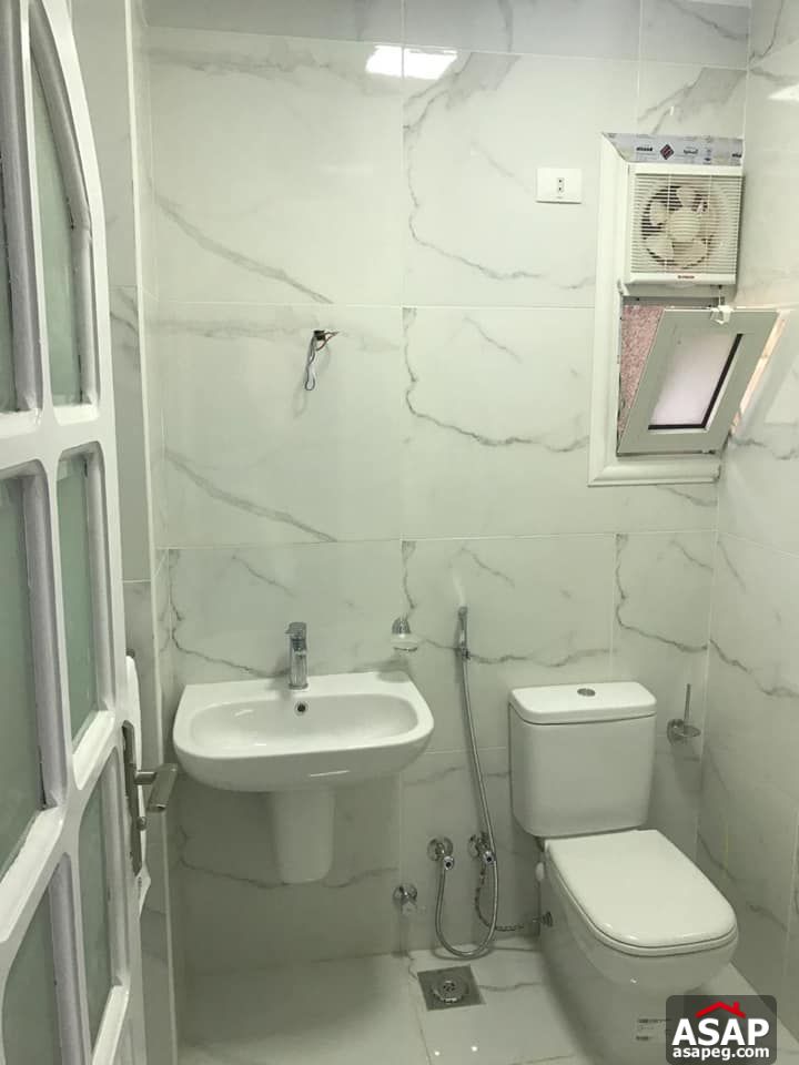 Flats for Rent in Zamalek Flats for Rent in Zamalek