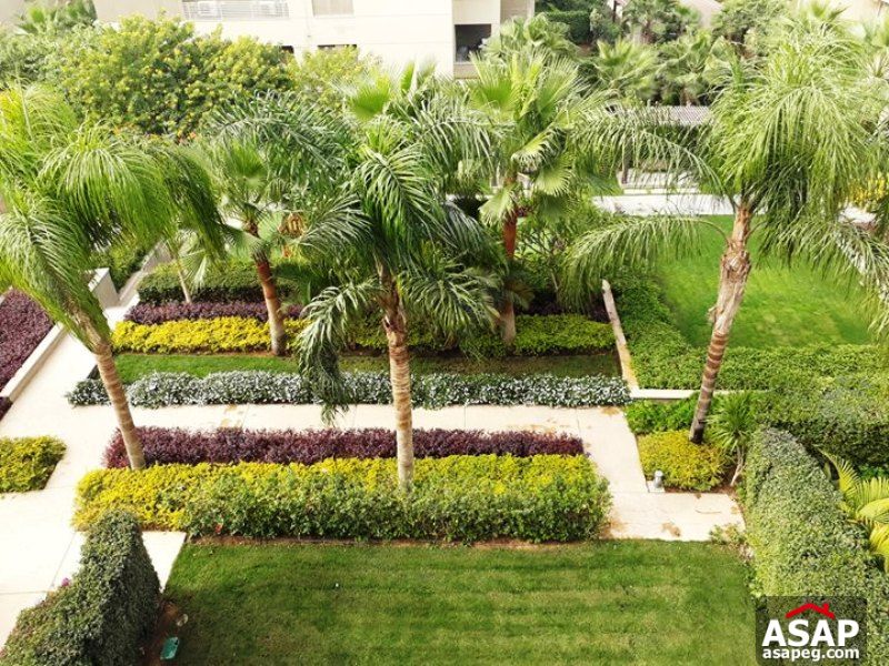 Penthouse for Rent in Park View Penthouse for Rent in Park View