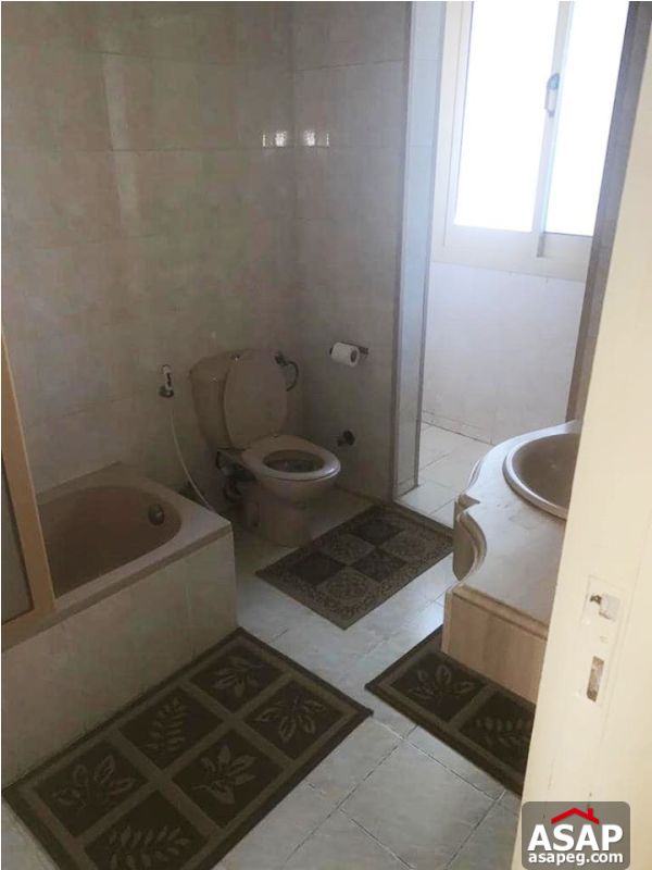 Apartment in Zamalek for Rent Apartment in Zamalek for Rent