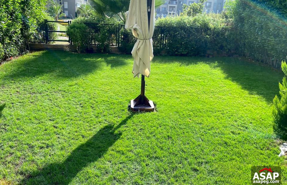 Ground Floor for Rent in Palm Parks - Sheikh Zayed Ground Floor for Rent in Palm Parks - Sheikh Zayed