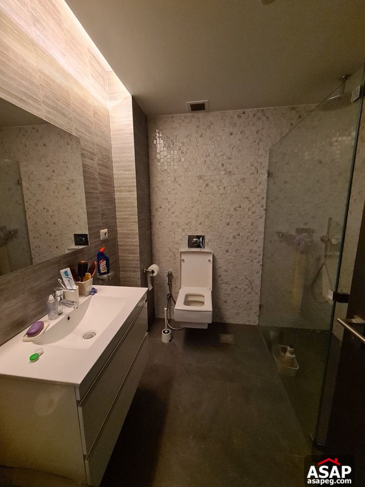 Amazing Apartment for Rent in Zamalek Amazing Apartment for Rent in Zamalek