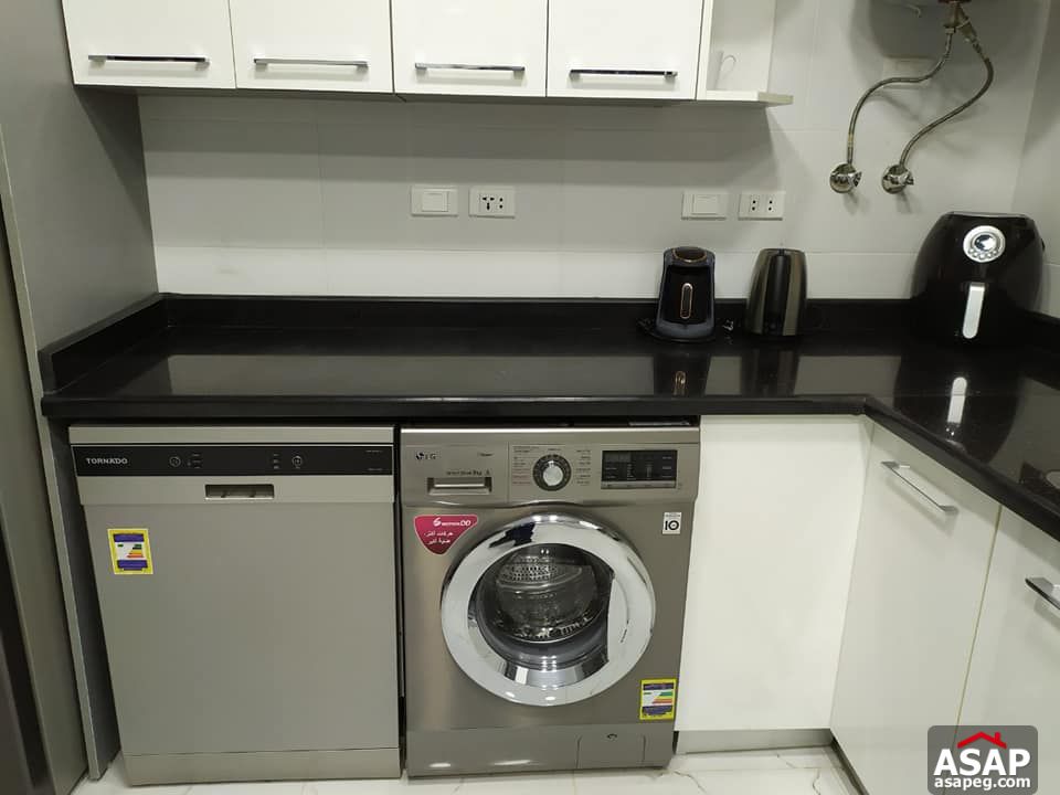 Furnished Apartment for Rent in Eastown Furnished Apartment for Rent in Eastown