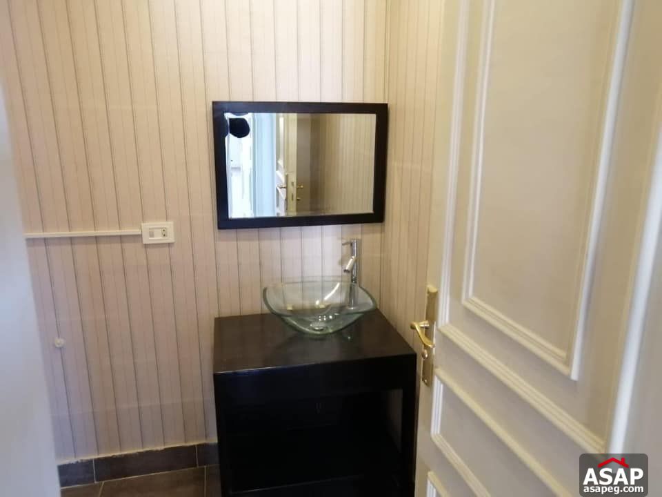 Apartment for Rent in Zamalek Apartment for Rent in Zamalek