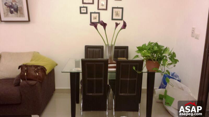 Apartment with Garden for Rent in Rehab Apartment with Garden for Rent in Rehab