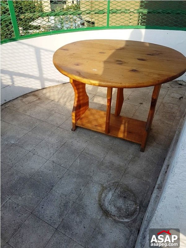 Apartment with Terrace for Rent in Zamalek Apartment with Terrace for Rent in Zamalek