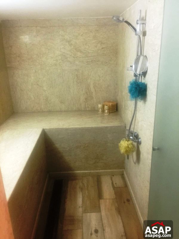 Stand Alone with Pool for Rent in Katameya Heights