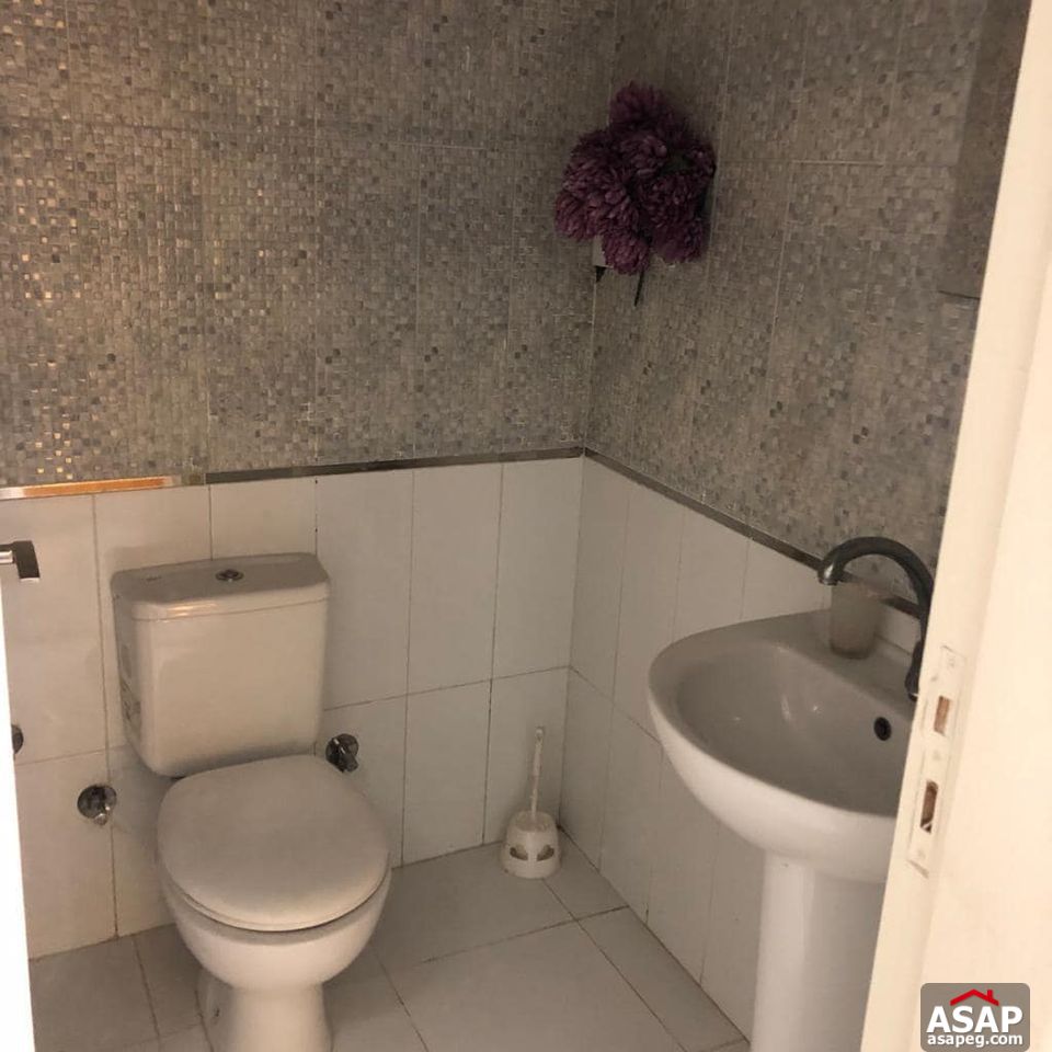 Furnished Apartment for Rent in Zamalek Furnished Apartment for Rent in Zamalek