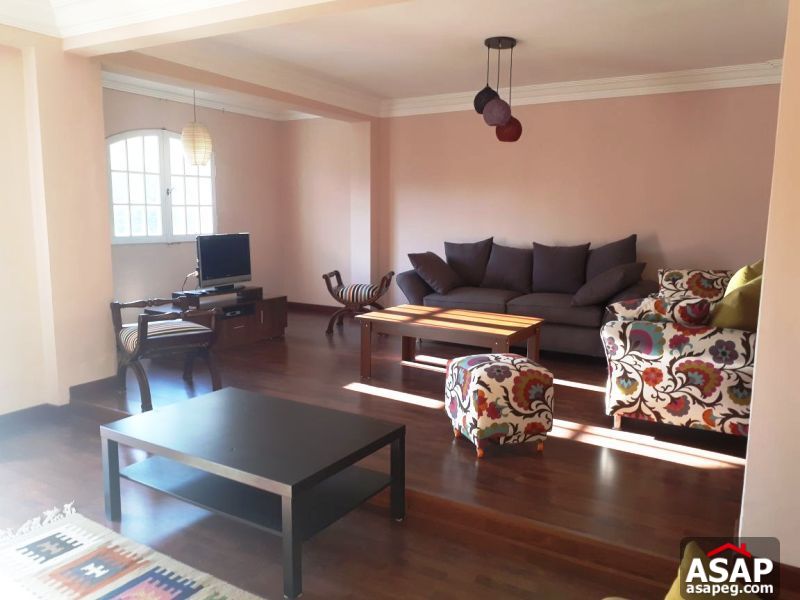 Furnished Apartment for Rent in Mohandiseen Furnished Apartment for Rent in Mohandiseen