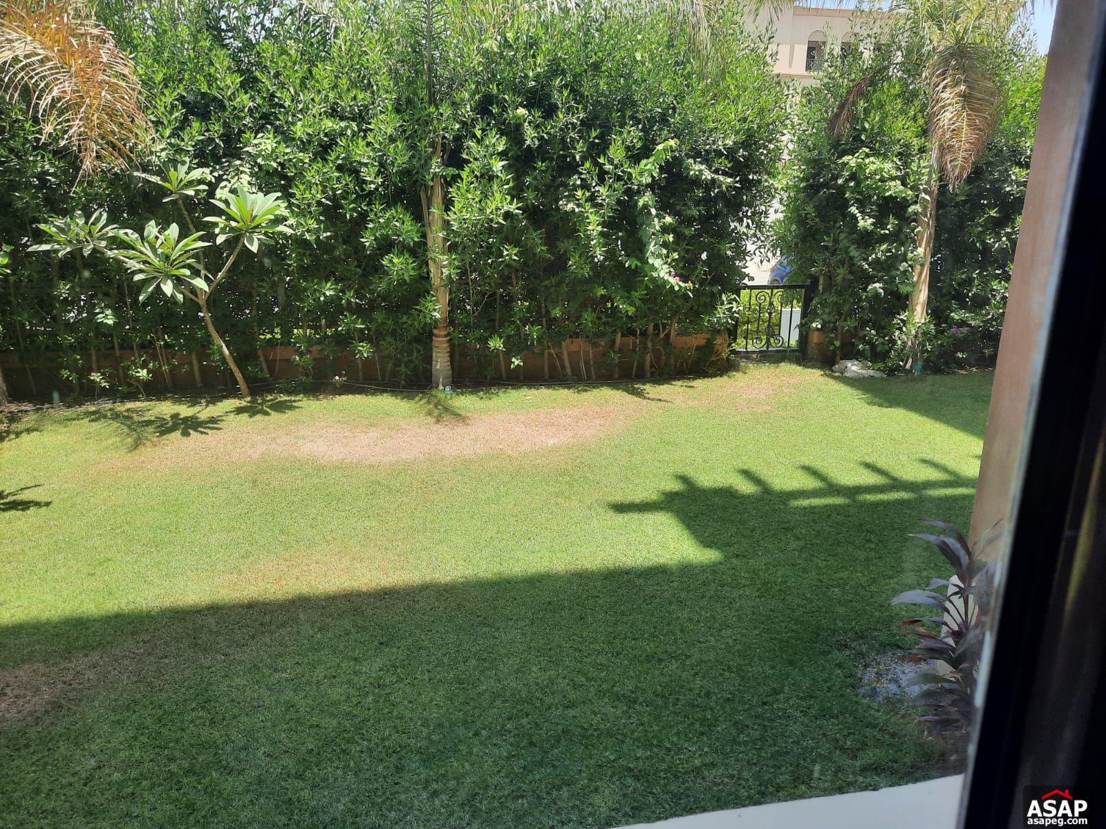 Apartment for rent in Mivida Compound