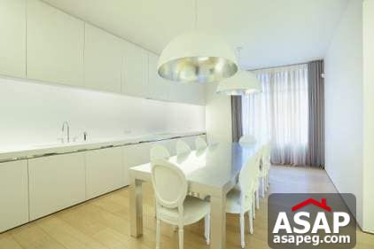 Nica Flat for Rent in Zamalek Nica Flat for Rent in Zamalek