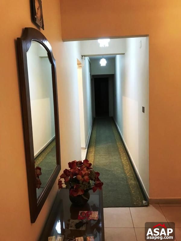 Apartment for Rent in Maadi Apartment for Rent in Maadi