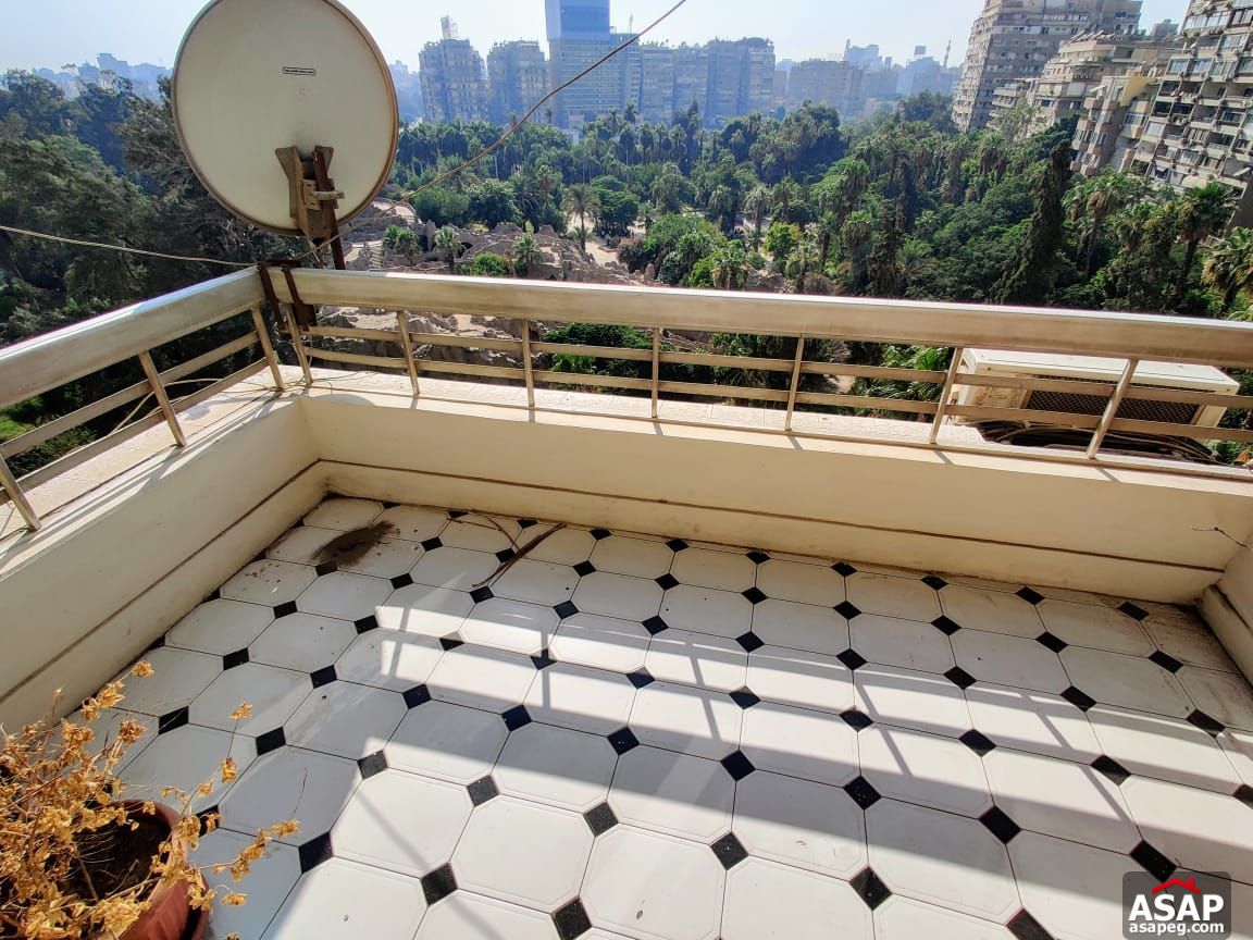 Apartment for Rent in Zamalek Apartment for Rent in Zamalek