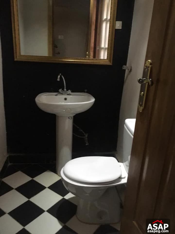 Apartment for Rent in Zamalek - Cairo Apartment for Rent in Zamalek - Cairo