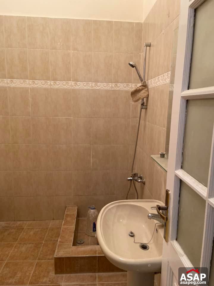 Apartment for Rent in Zamalek Apartment for Rent in Zamalek