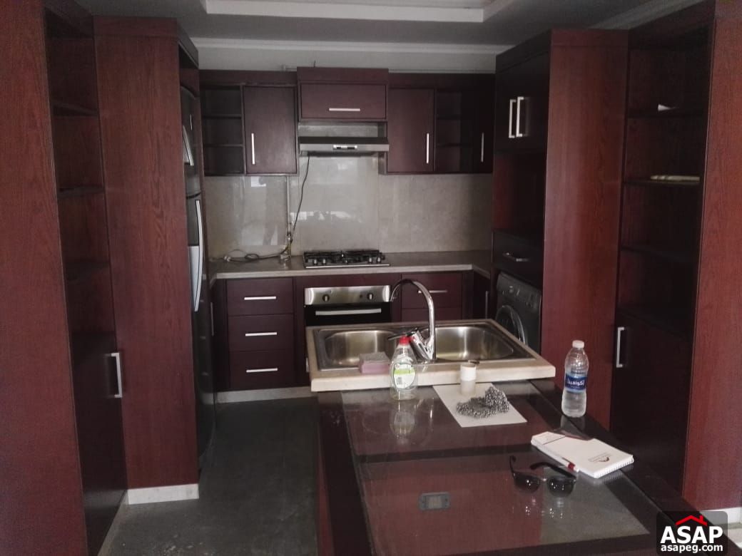 Apartment for Rent in Zamalek Apartment for Rent in Zamalek