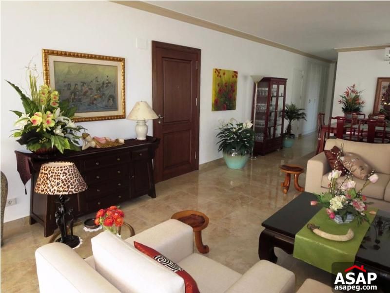 Penthouse for Sale in Dokki Penthouse for Sale in Dokki