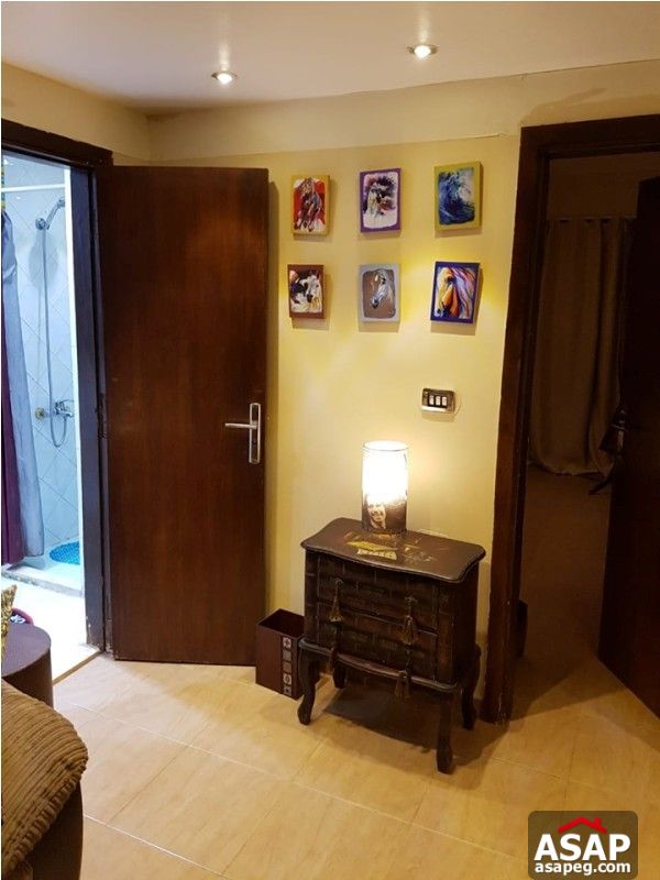 Furnished Studio in Zamalek for Rent Furnished Studio in Zamalek for Rent