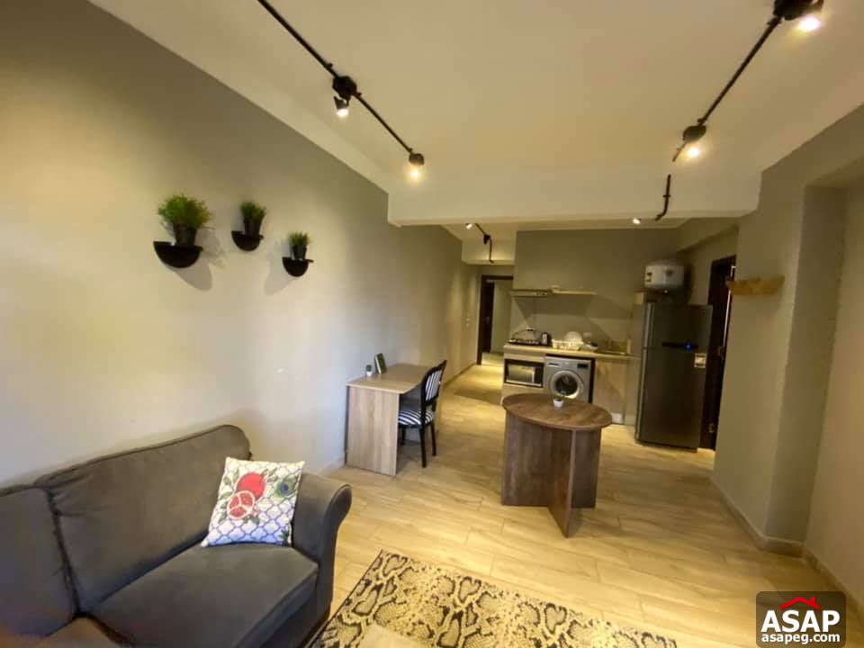 Apartment for Rent in Zamalek Apartment for Rent in Zamalek