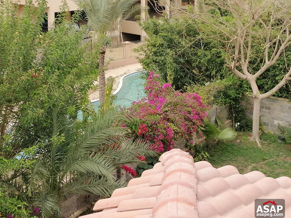 Villa for Rent in New Cairo compounds - Katameya Palms Villa for Rent in New Cairo compounds - Katameya Palms