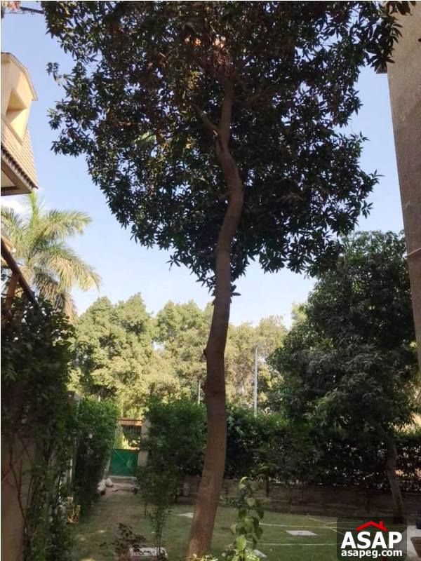 Furnished Apartment with Garden in Maadi Furnished Apartment with Garden in Maadi