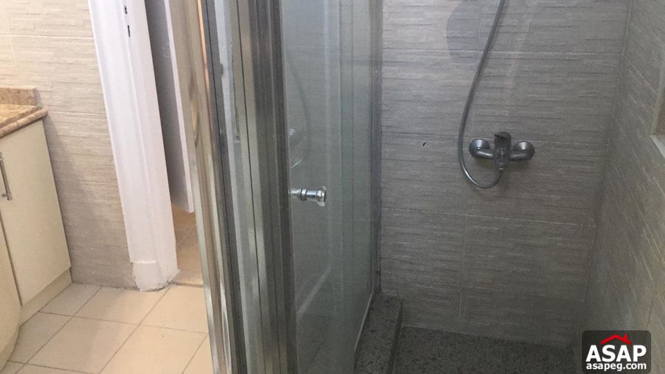 Apartment for Rent in Zamalek Apartment for Rent in Zamalek