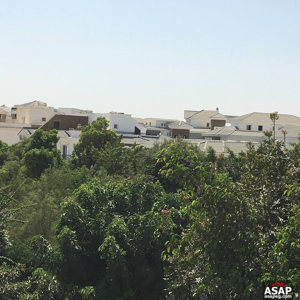 Villa for Rent in Mountain View Villa for Rent in Mountain View