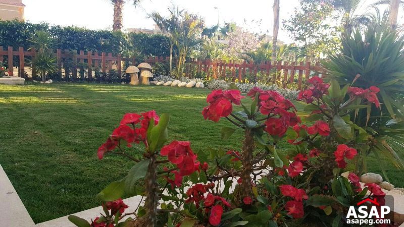 Duplex for Rent in Park View Duplex for Rent in Park View