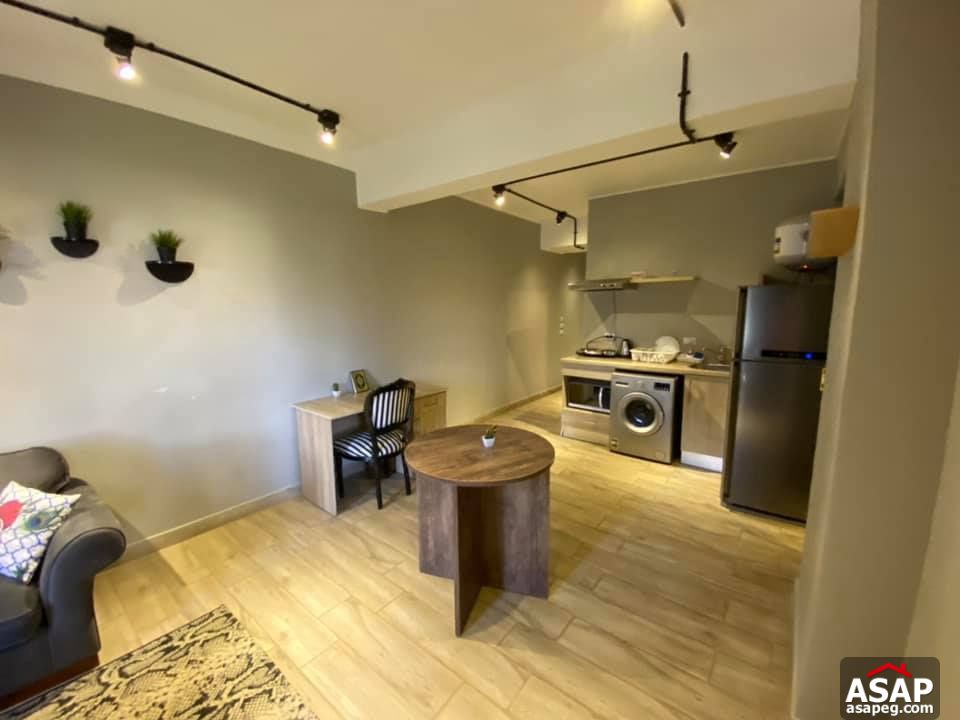 Apartment for Rent in Zamalek Apartment for Rent in Zamalek