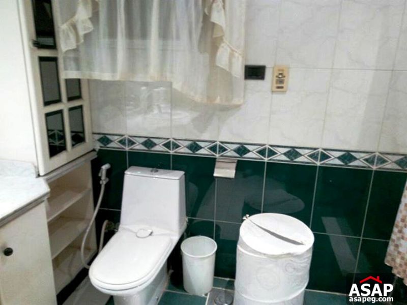 Apartment with Nile View for Rent in Zamalek Apartment with Nile View for Rent in Zamalek