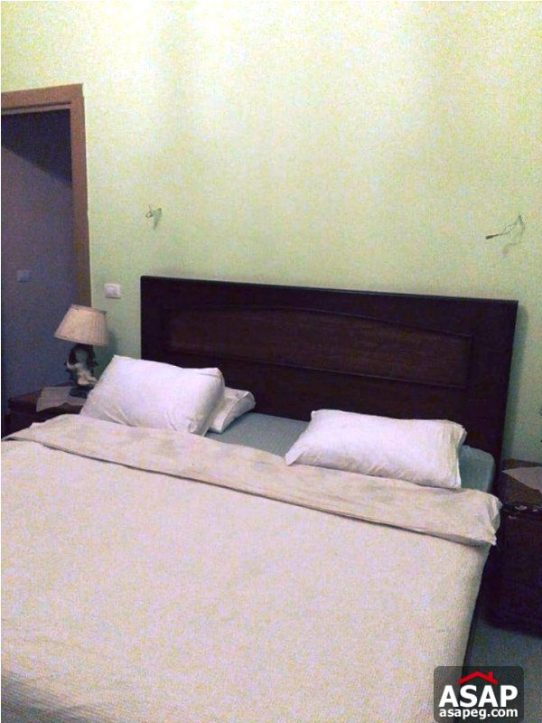 Apartment for Rent in Zamalek Apartment for Rent in Zamalek